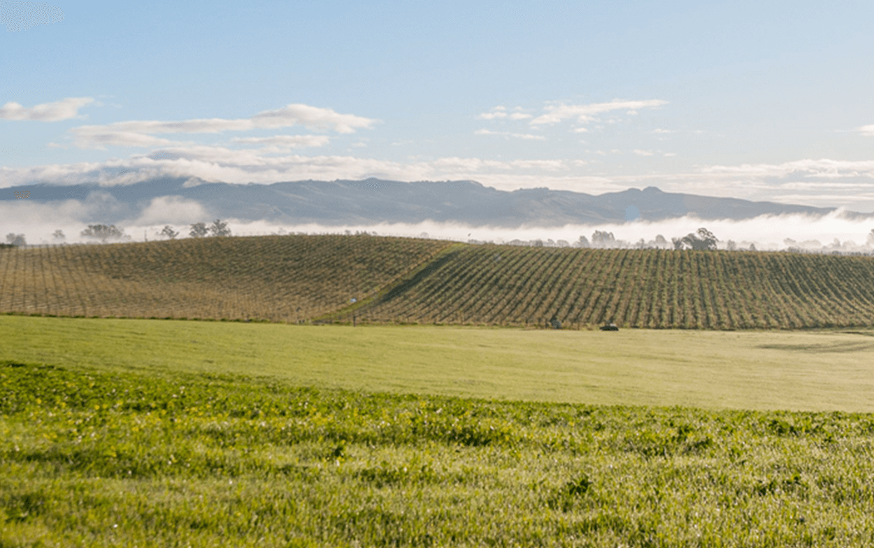 Discover Something New in Napa Valley
